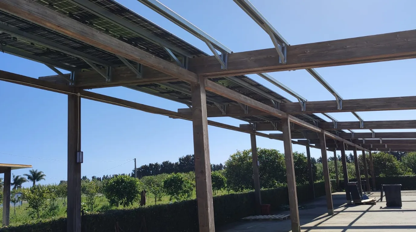 Estratto fotografico di una pensilina fotovoltaica: struttura in legno e acciaio con moduli in copertura sopra un agrumeto, cielo sereno